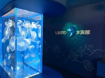 しながわ水族館に投稿された画像（2025/8/5）