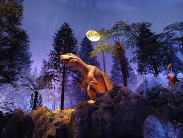 北九州市立自然史・歴史博物館（いのちのたび博物館）に投稿された画像（2025/8/5）