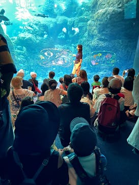 新江ノ島水族館に投稿された画像（2025/8/5）