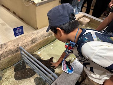 新江ノ島水族館に投稿された画像（2025/8/5）