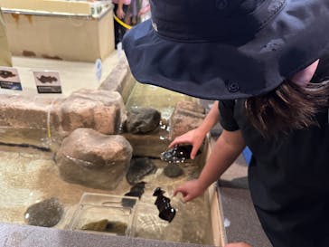 新江ノ島水族館に投稿された画像（2025/8/5）