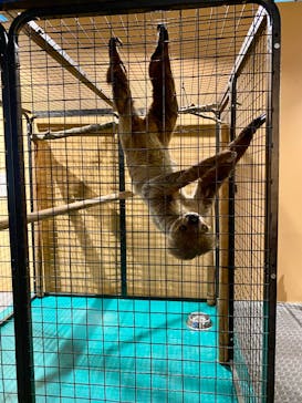 リトルモンスター展～「うゎっ」と「ぅわぁ～」のいきものたち～ @新潟県立自然科学館に投稿された画像（2025/8/5）