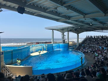 新江ノ島水族館に投稿された画像（2025/8/5）