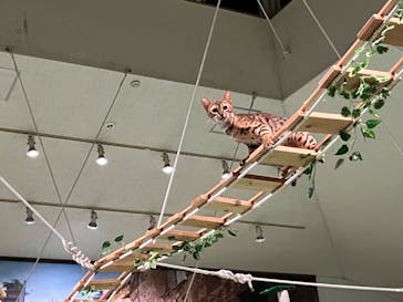 那須どうぶつ王国に投稿された画像（2025/8/5）