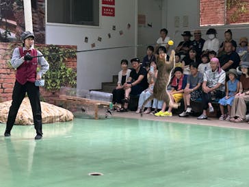 那須どうぶつ王国に投稿された画像（2025/8/5）