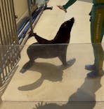 新江ノ島水族館に投稿された画像（2025/8/5）