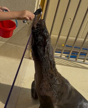 新江ノ島水族館に投稿された画像（2025/8/5）