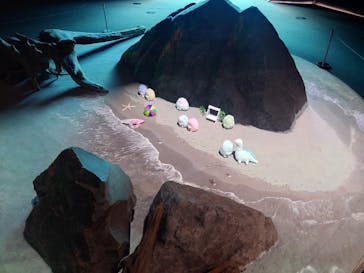 上越市立水族博物館 うみがたりに投稿された画像（2025/8/5）