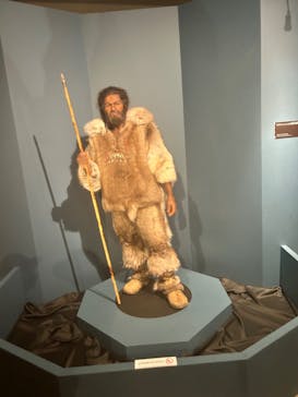 特別展「氷河期展 〜人類が見た4万年前の世界〜」（国立科学博物館）に投稿された画像（2025/8/5）