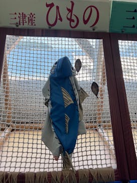 伊豆・三津シーパラダイスに投稿された画像（2025/8/5）