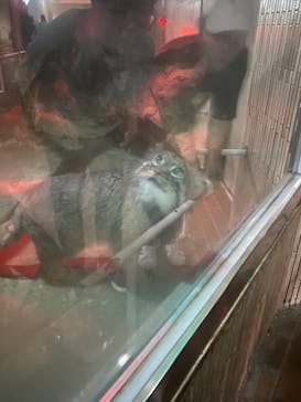 恩賜上野動物園に投稿された画像（2025/8/5）