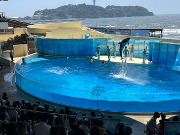 新江ノ島水族館に投稿された画像（2025/8/5）