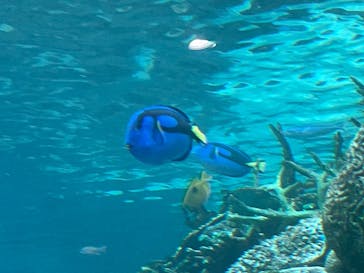 名古屋港水族館に投稿された画像（2025/8/5）