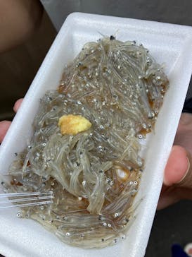 江の島1dayに投稿された画像（2025/8/5）