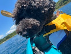 アクアトレイルアウトフィッターフジに投稿された画像（2025/8/5）