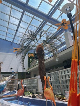 岩盤温浴リゾート　ココプララに投稿された画像（2025/8/5）