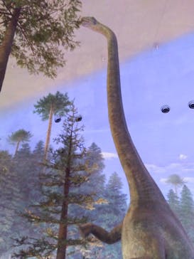 福井県立恐竜博物館に投稿された画像（2025/8/5）