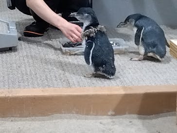 AOAO SAPPOROに投稿された画像（2025/8/5）