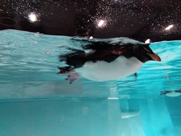 AOAO SAPPOROに投稿された画像（2025/8/5）