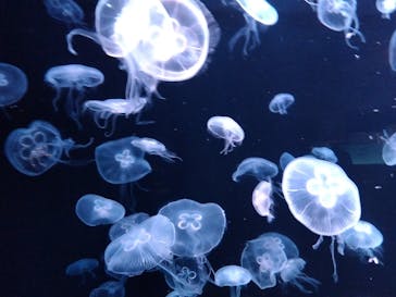 AOAO SAPPOROに投稿された画像（2025/8/5）