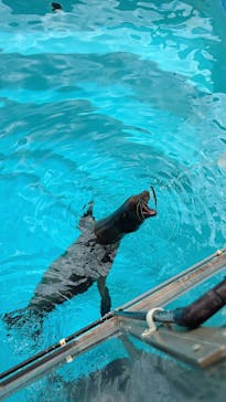 マリンワールド海の中道に投稿された画像（2025/8/5）