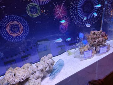 マクセル アクアパーク品川に投稿された画像（2025/8/5）