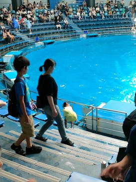 マクセル アクアパーク品川に投稿された画像（2025/8/5）