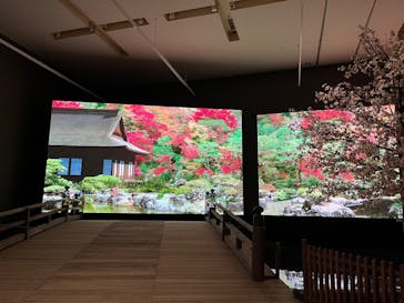 特別展「江戸☆大奥」に投稿された画像（2025/8/5）