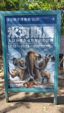 特別展「氷河期展 〜人類が見た4万年前の世界〜」（国立科学博物館）に投稿された画像（2025/8/5）