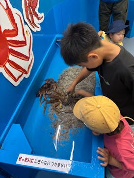 越前松島水族館に投稿された画像（2025/8/5）