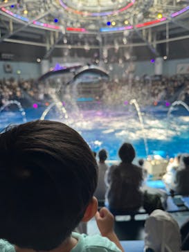 マクセル アクアパーク品川に投稿された画像（2025/8/5）