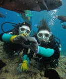 武藤潜水に投稿された画像（2025/8/5）