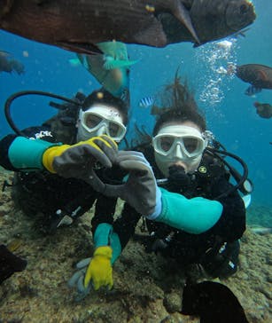 武藤潜水に投稿された画像（2025/8/5）