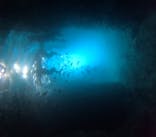 武藤潜水に投稿された画像（2025/8/5）