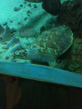 南知多ビーチランド＆南知多おもちゃ王国に投稿された画像（2025/8/5）