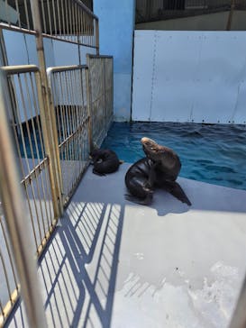 南知多ビーチランド＆南知多おもちゃ王国に投稿された画像（2025/8/5）