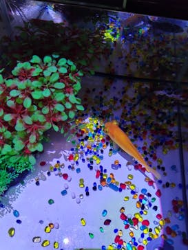 南知多ビーチランド＆南知多おもちゃ王国に投稿された画像（2025/8/5）