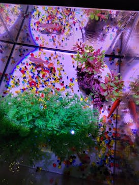 南知多ビーチランド＆南知多おもちゃ王国に投稿された画像（2025/8/5）