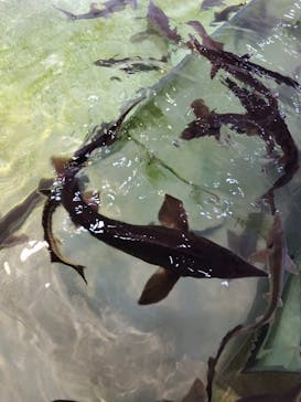 南知多ビーチランド＆南知多おもちゃ王国に投稿された画像（2025/8/5）