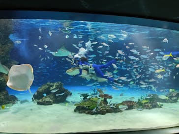 サンシャイン水族館に投稿された画像（2025/8/5）