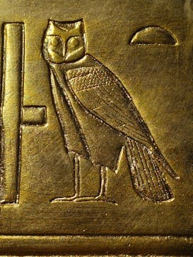 MYSTERY OF TUTANKHAMEN 体感型古代エジプト展に投稿された画像（2025/8/5）
