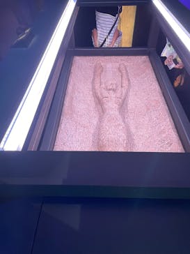 ACN ラムセス大王展 ファラオたちの黄金に投稿された画像（2025/8/5）