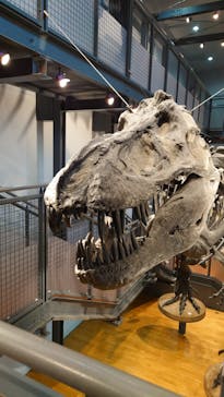 福井県立恐竜博物館に投稿された画像（2025/8/5）