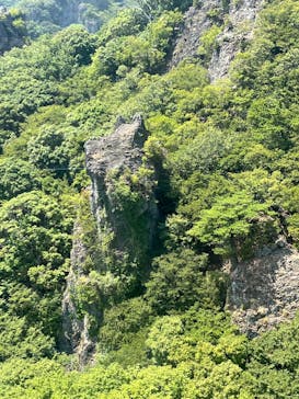 寒霞渓ロープウェイに投稿された画像（2025/8/5）