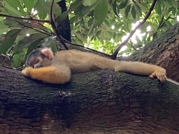 石垣やいま村に投稿された画像（2025/8/5）