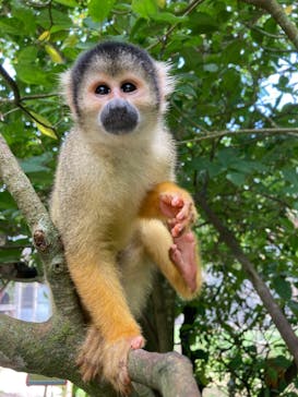 石垣やいま村に投稿された画像（2025/8/5）