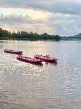  マリンショップHAPPYに投稿された画像（2025/8/5）