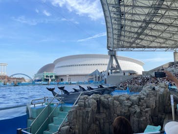 名古屋港水族館に投稿された画像（2025/8/5）