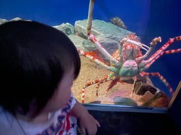 名古屋港水族館に投稿された画像（2025/8/5）