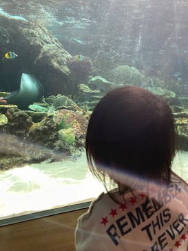 名古屋港水族館に投稿された画像（2025/8/5）